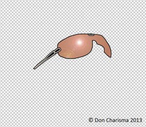 Sunglasses_small