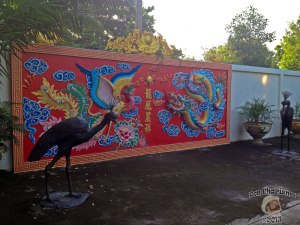 DonCharisma.org Chinese 3d Mural And Peacocks 2 - Big Buddha Hill