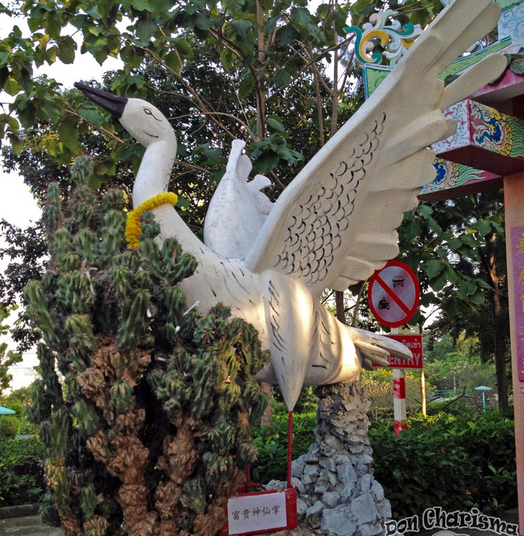 DonCharisma.org Chinese Crane - Big Buddha Hill