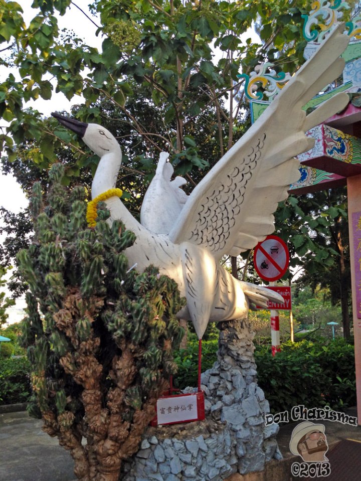 DonCharisma.org Chinese Crane - Big Buddha Hill