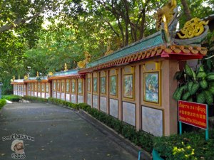 DonCharisma.org Chinese Story Wall - Big Buddha Hill