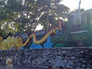 DonCharisma.org Dragon And Crane - Big Buddha Hill