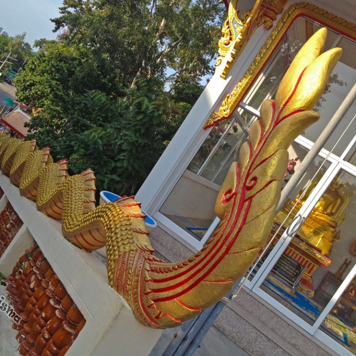 DonCharisma.org Dragons Tail - Big Buddha Hill