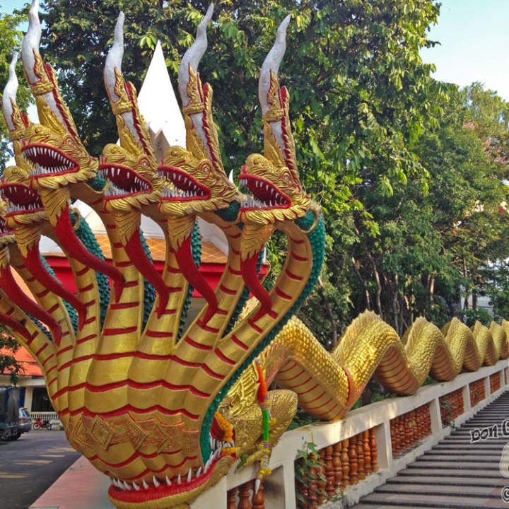 DonCharisma.org-Eight-Headed-Dragon-1-Big-Buddha-Hill