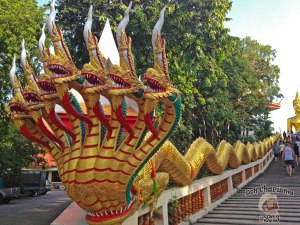 DonCharisma.org-Eight-Headed-Dragon-1-Big-Buddha-Hill