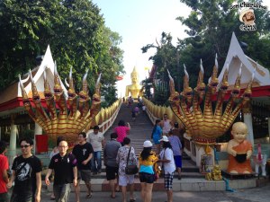 DonCharisma.org Eight Headed Dragons And Baby Money Collector