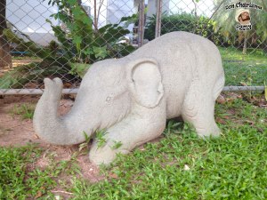 DonCharisma.org Little Elephant Four