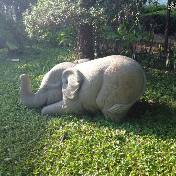 DonCharisma.org Little Elephant One