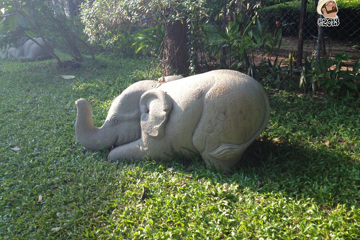 DonCharisma.org Little Elephant One