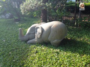 DonCharisma.org Little Elephant One