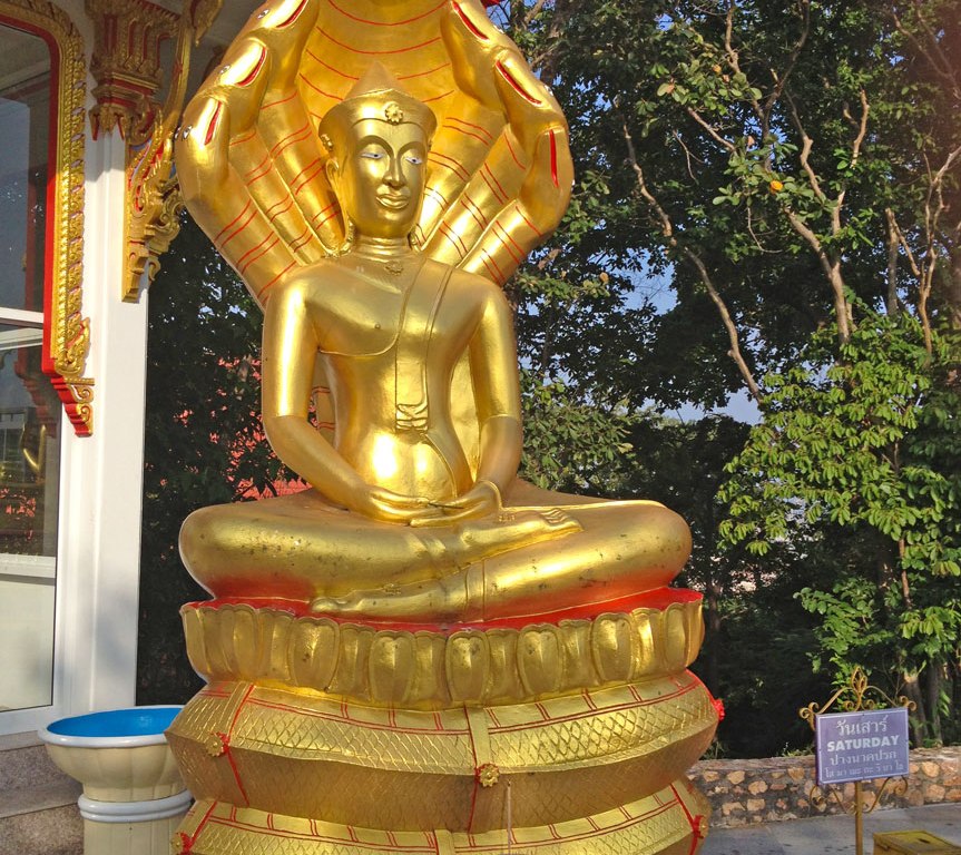 DonCharisma.org Minor Buddha 1 Saturday