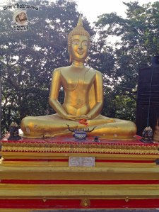 DonCharisma.org Minor Buddha 10