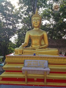 DonCharisma.org Minor Buddha 12