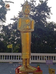 DonCharisma.org Minor Buddha 8 Wednesday