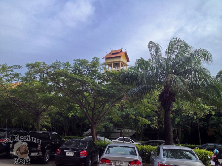 DonCharisma.org My Front Yard!