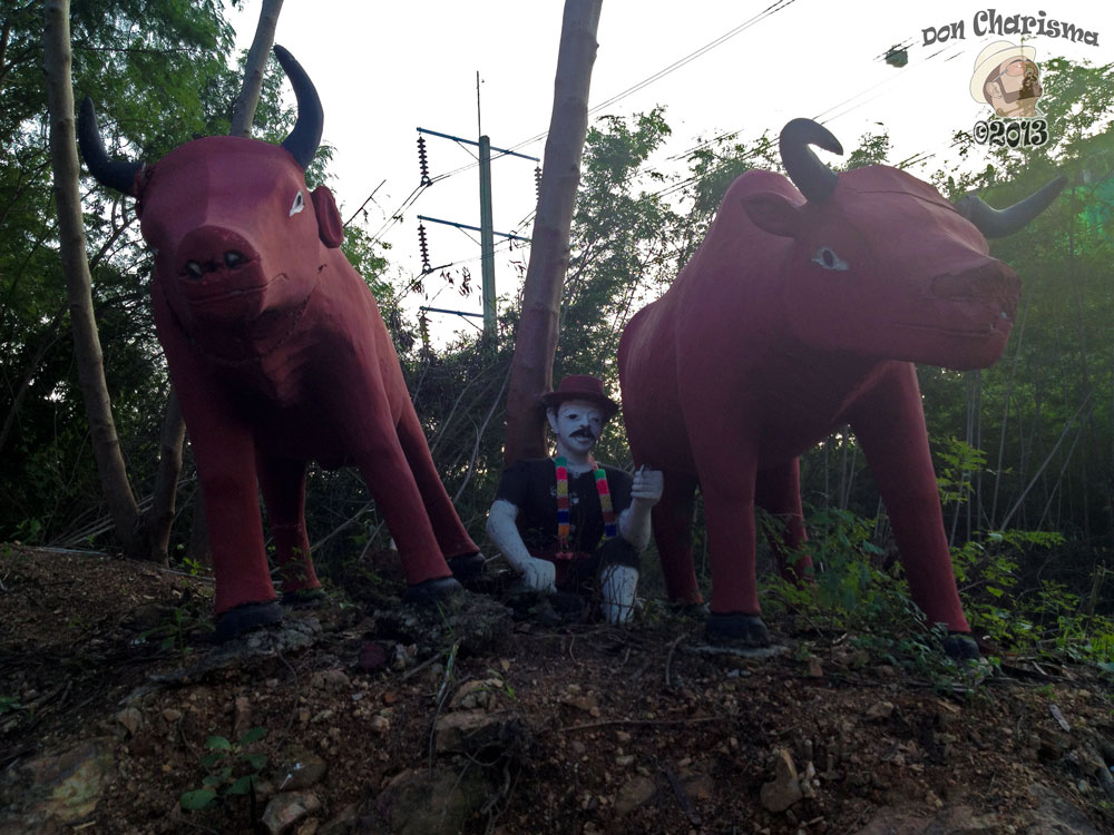 DonCharisma.org Road Side Scene - Big Buddha Hill