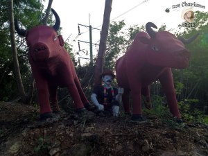 DonCharisma.org Road Side Scene - Big Buddha Hill