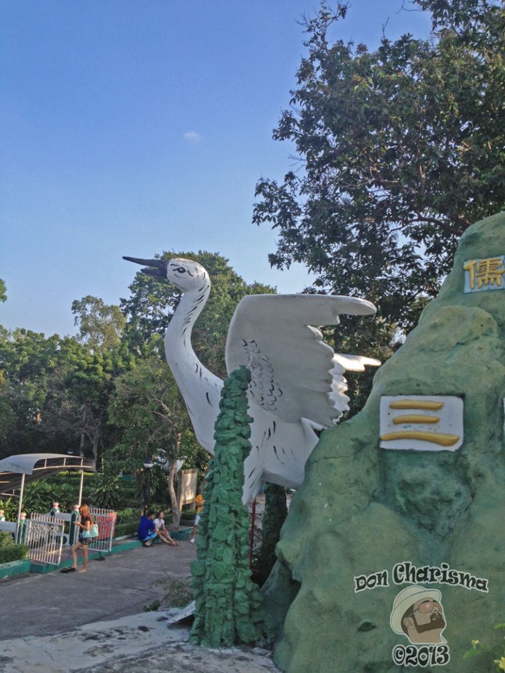 DonCharisma.org Swan - Big Buddha Hill