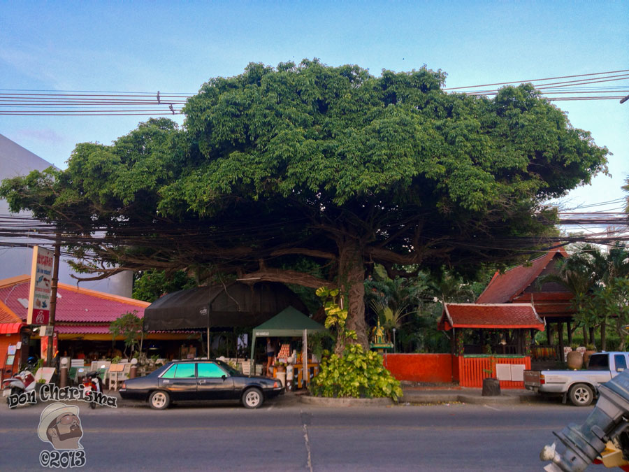 DonCharisma.org Tree Of Awesomeness Two