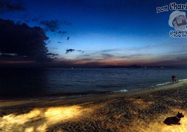 DonCharisma.org Beach Sunset Panorama Dog PTGui-4w-x-1h-P