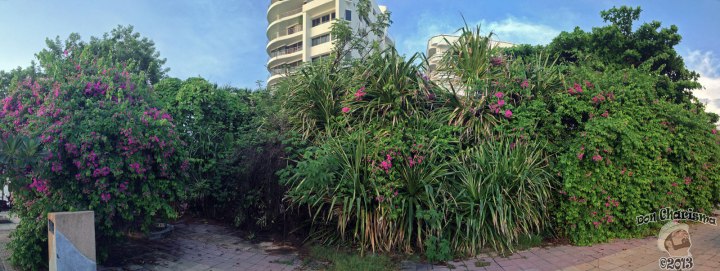 DonCharisma.org-Balcony-Sunrise-Panorama-Wide