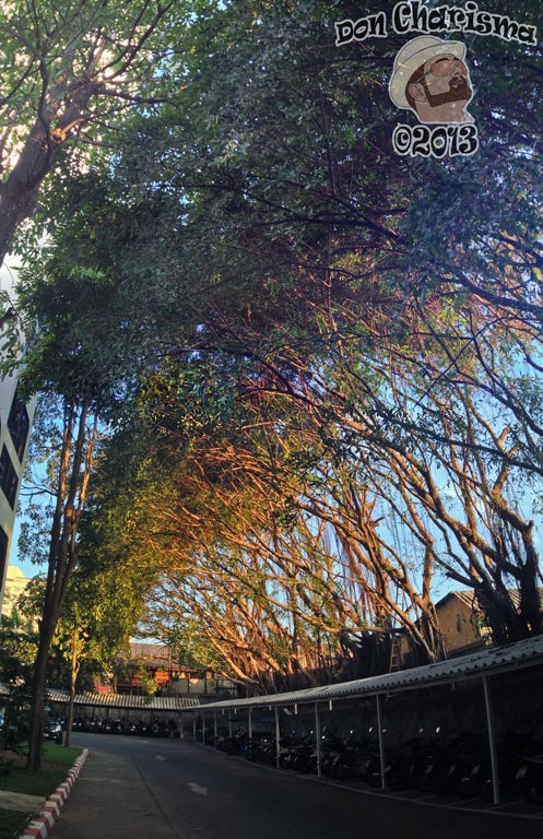 DonCharisma.org Bike Sheds Towerama PTGui-1w-x-4h-L