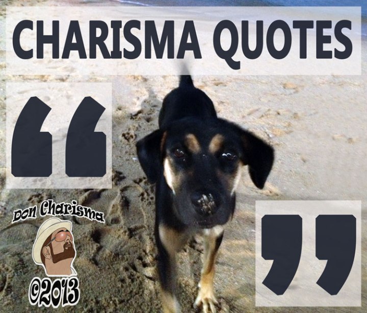 DonCharisma.org Charisma Quotes Poster