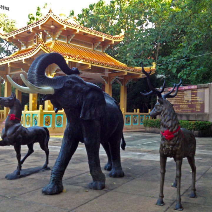 DonCharisma.org Chinese pagoda And Animals 2 - Big Buddha Hill