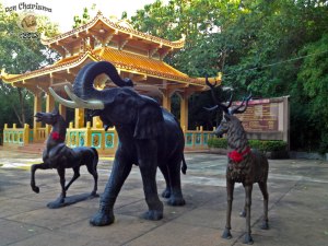 DonCharisma.org Chinese pagoda And Animals 2 - Big Buddha Hill