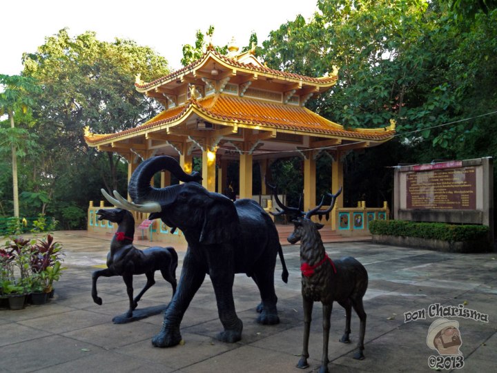 DonCharisma.org-Balcony-Sunrise-Panorama-Wide