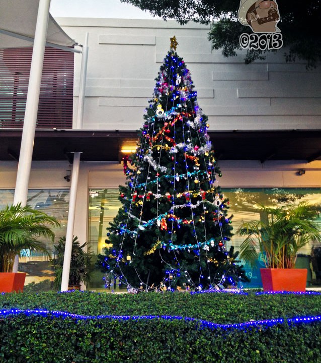 DonCharisma.org Christmas Tree Evening