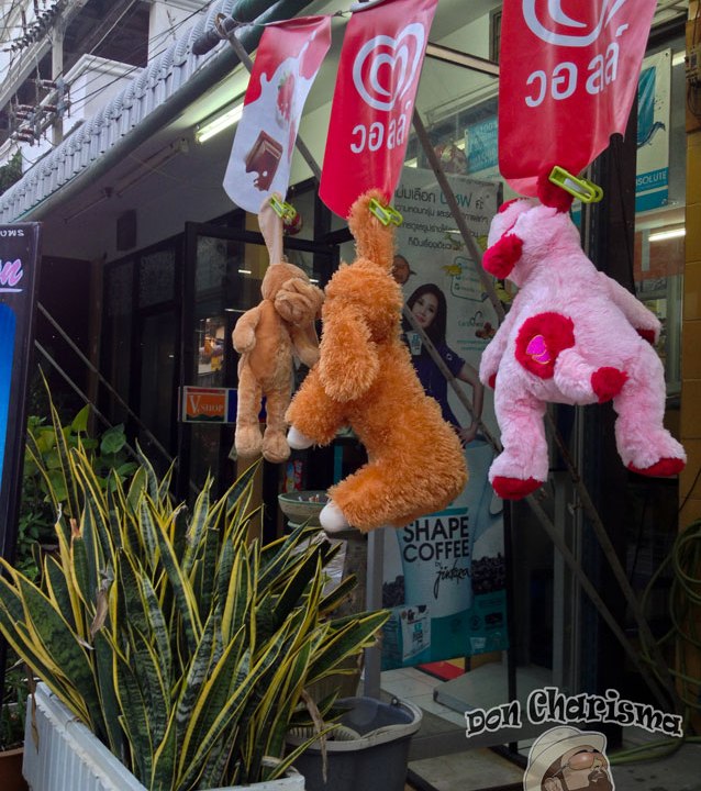 DonCharisma.org Cuddly Toy Laundry