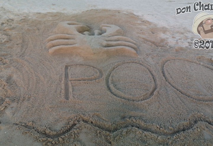 DonCharisma.org Poo 2 - Manual Photo Stitching