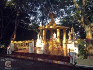 DonCharisma.org Temple Round The Back Big Buddha Hill