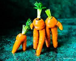 Carrot People