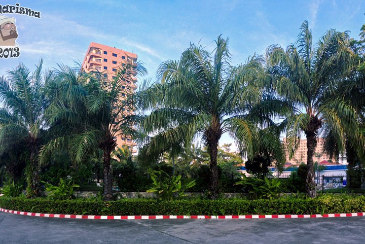 DonCharisma.org Palm Trees PTGui-5w-x-1h-P