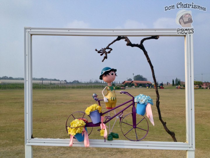 DonCharisma.org-Pretty-Picture-5-1L