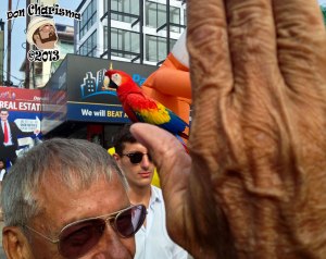 DonCharisma.org The Parrot Pimp 2