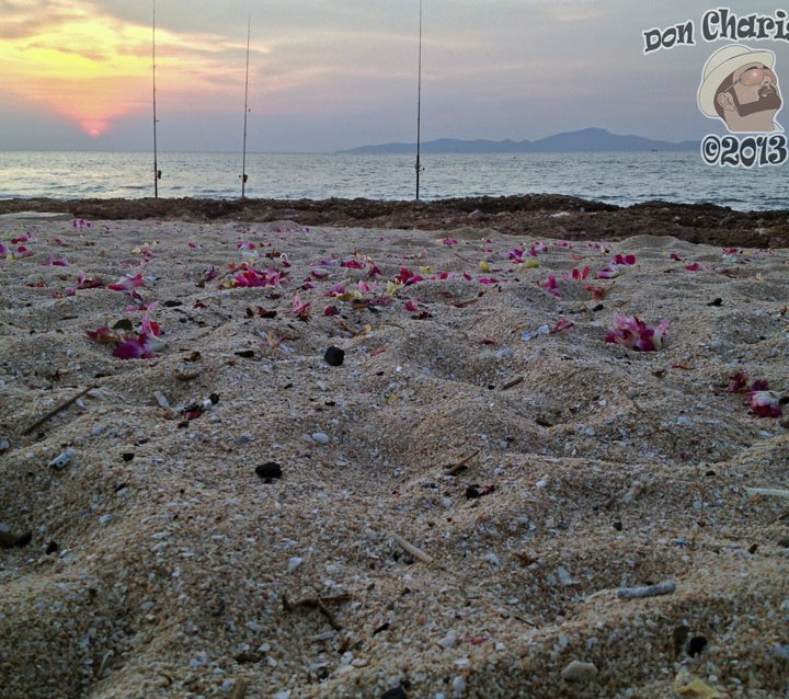 DonCharisma.org Beach Sunset Petals And Fishing 1L