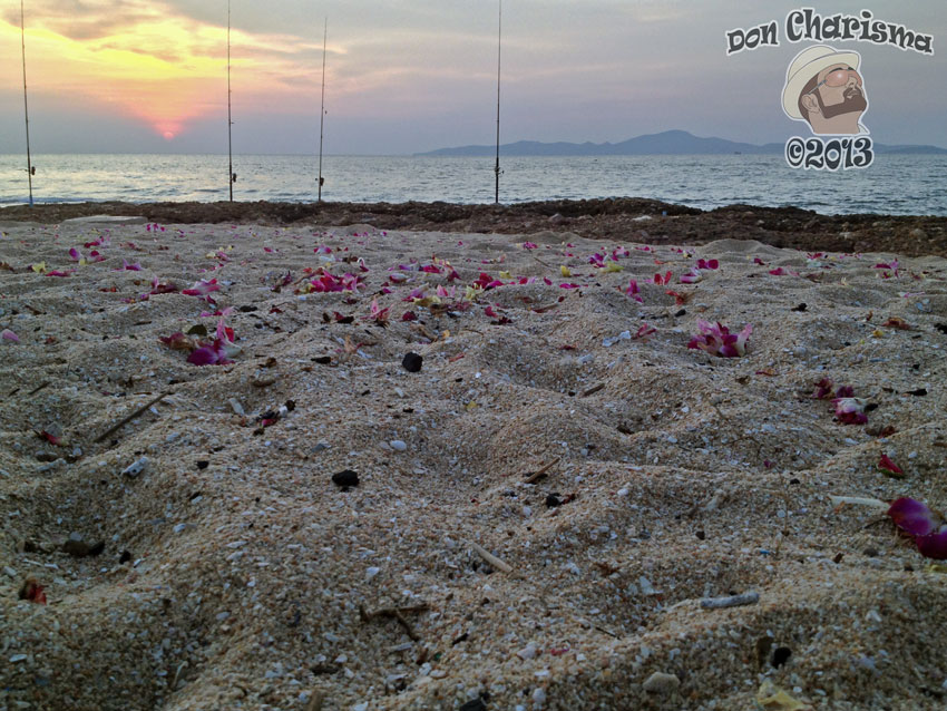 DonCharisma.org Beach Sunset Petals And Fishing 1L