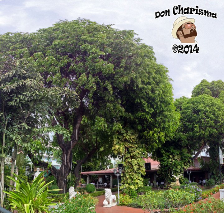 DonCharisma.org-Italian-Restuarant-PS-18L-4h