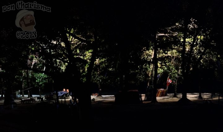 DonCharisma.org-Night-Beech-Tree-Lights-PTGui-4w-x-1h-P