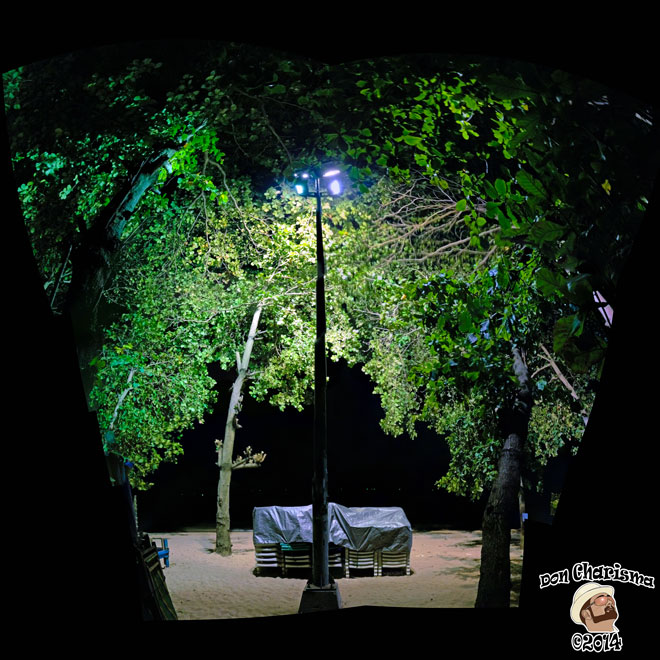 DonCharisma.org-Night-Tree-Lights-Towerama