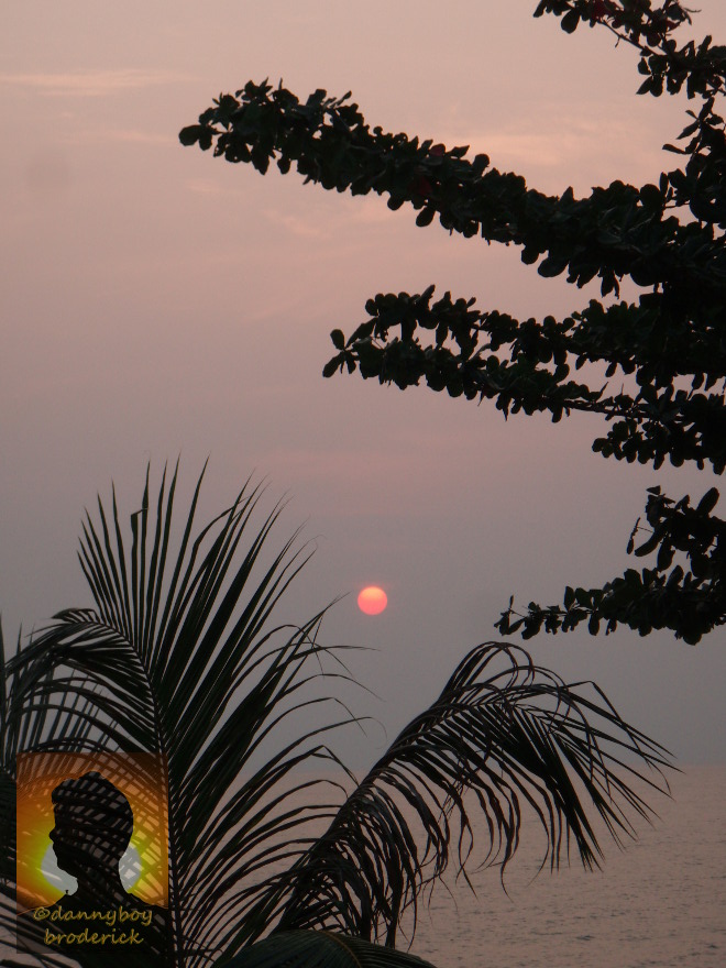 dannyboybroderick-leafy-sunset