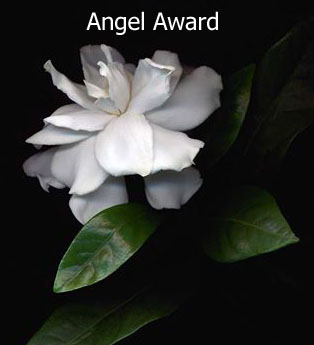 DonCharisma.org-award-angel_edited-1