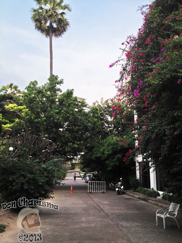 DonCharisma.org-Balcony-Sunrise-Panorama-Wide