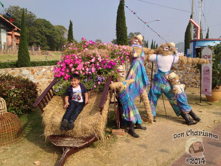 DonCharisma.org-Thai-Boy-Hay-Cart