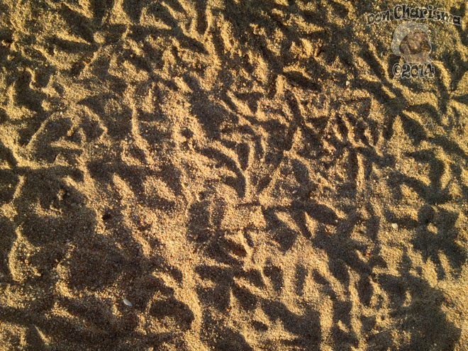 DonCharisma.org-Balcony-Sunrise-Panorama-Wide