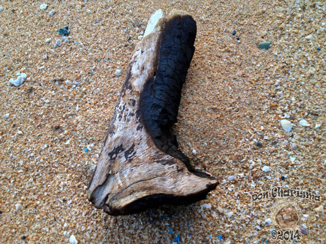 DonCharisma.org-Burnt-Driftwood-Boot