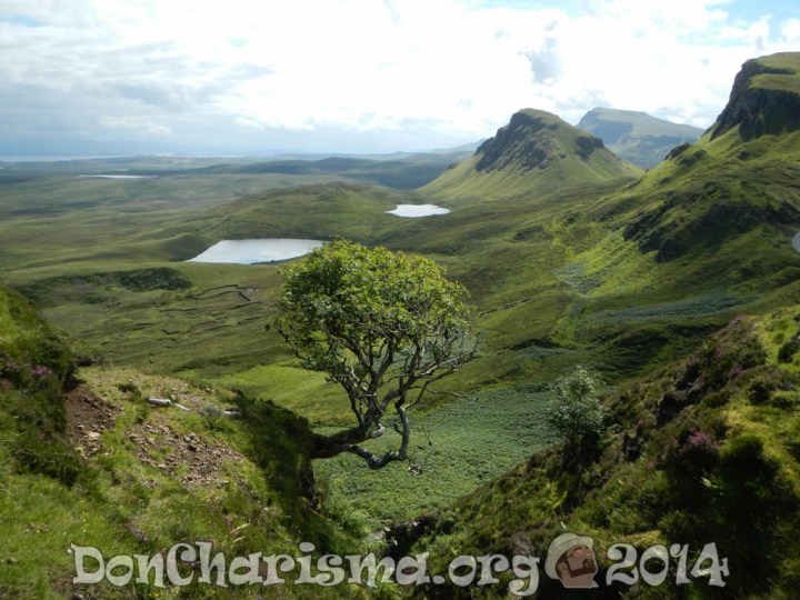 scotland-highlands-tree-pixabay-230255-DonCharisma.org-1024LE